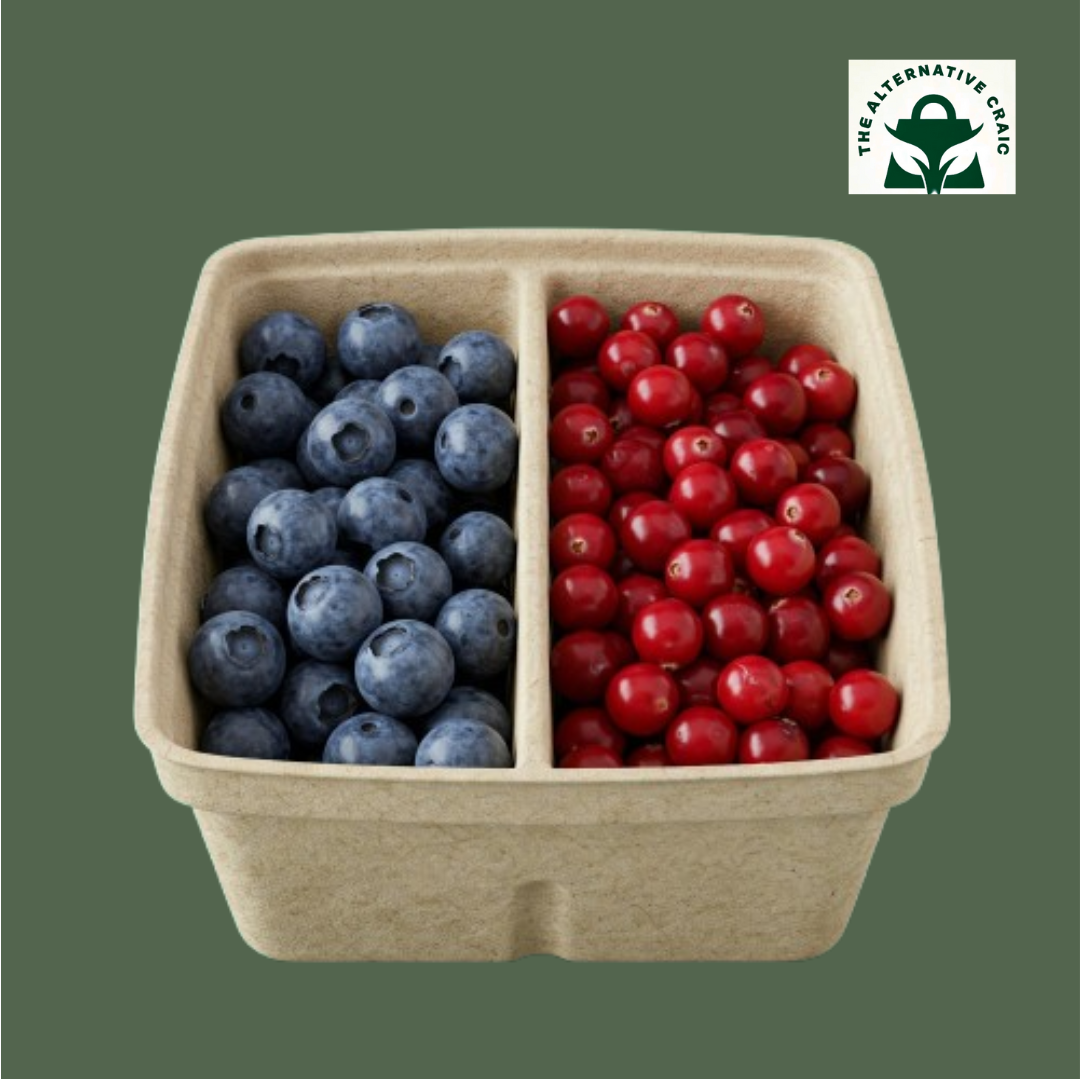 Rectangle Container: Plant Fiber (Dual compartment)