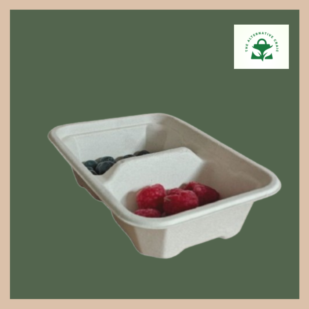 Plant Fiber: Container (Dual compartment)