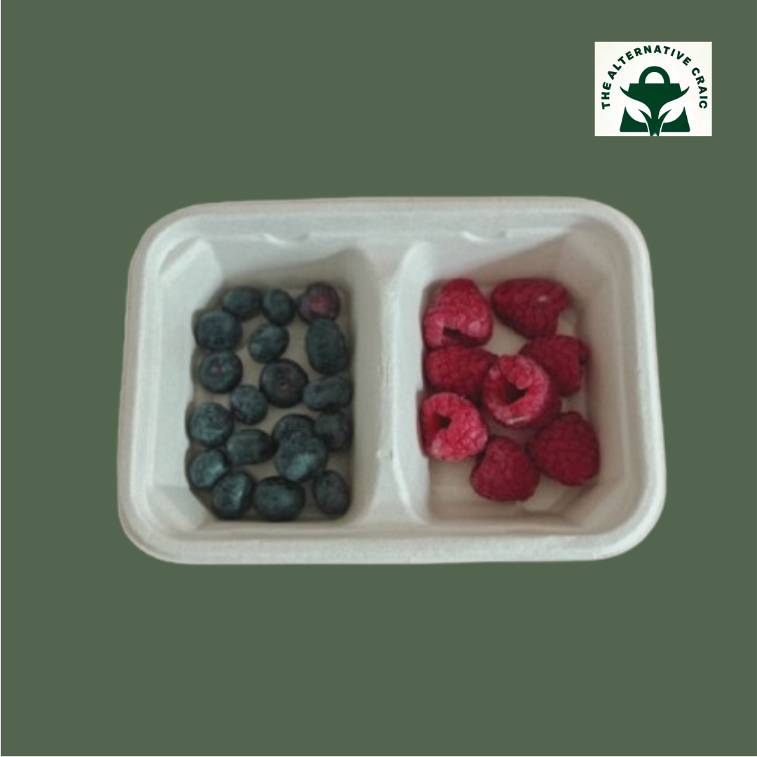 Rectangle Container: Plant Fiber (Dual compartment)