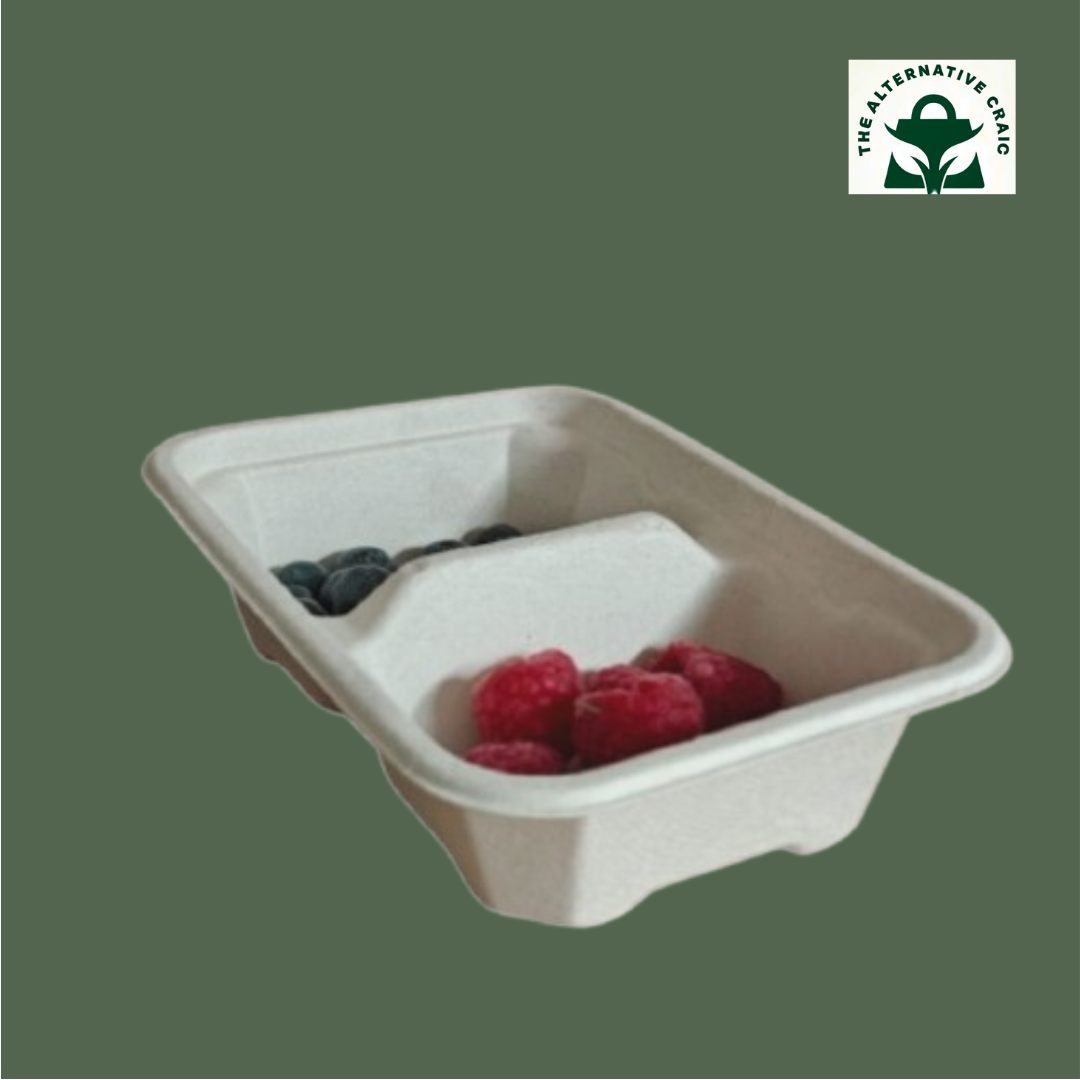 Rectangle Container: Plant Fiber (Dual compartment)