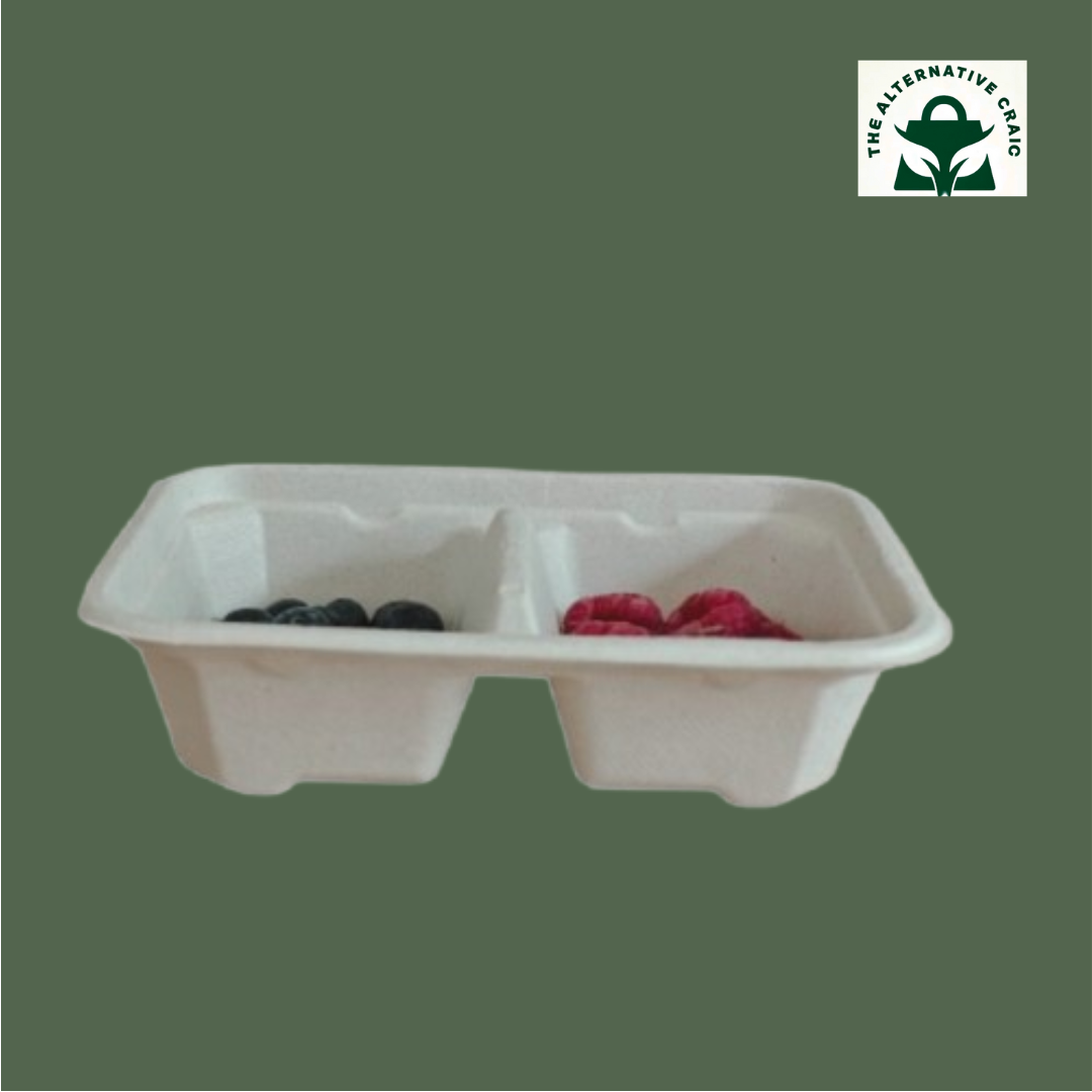Rectangle Container: Plant Fiber (Dual compartment)