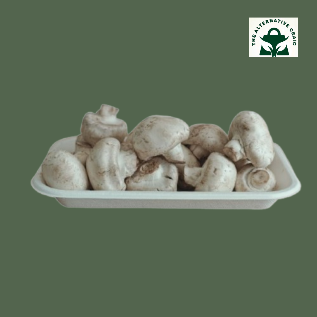 Square/Rectangle Trays: Plant Fiber