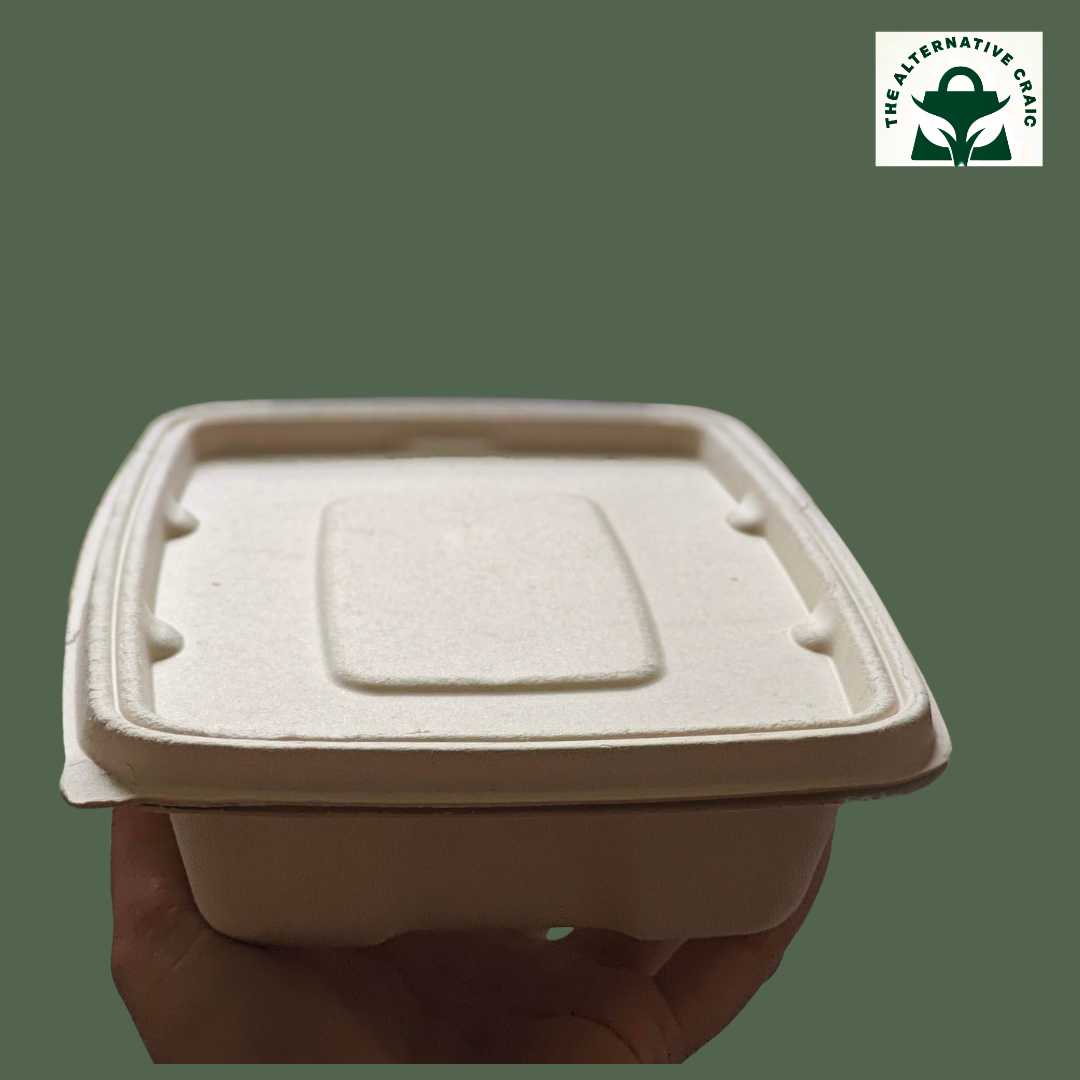 Rectangle Container: Plant Fiber