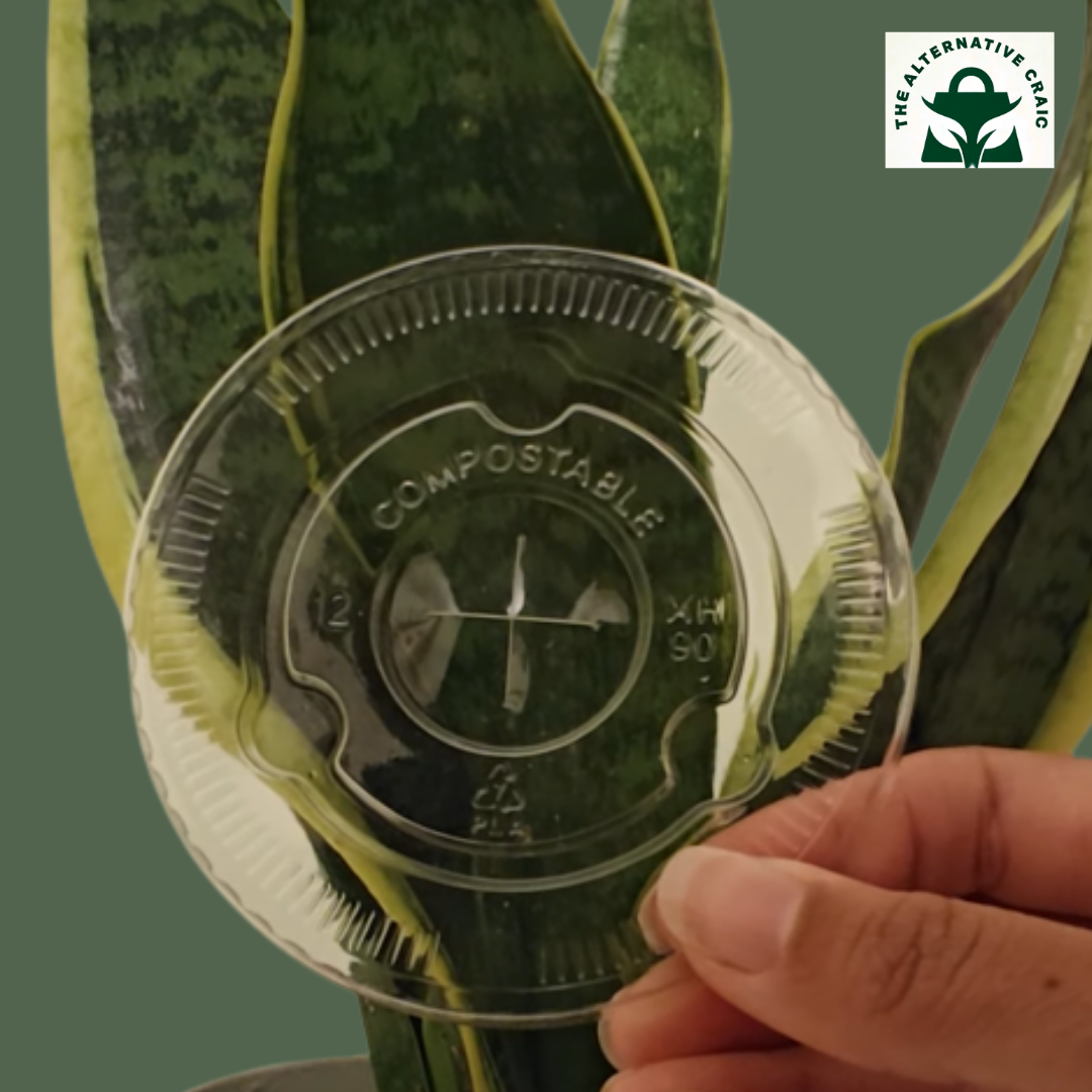 Transparent Cup Lid: Plant Starch